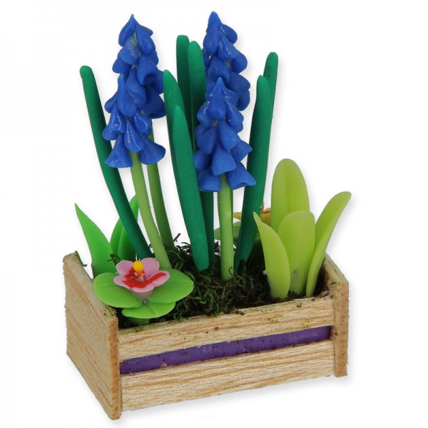 Holzkiste mit blauer Iris