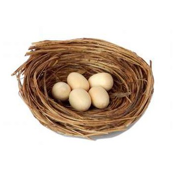 Nest mit Eiern braun